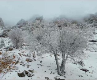 فعالیت سامانه بارشی همراه با تندباد از سه‌شنبه در البرز