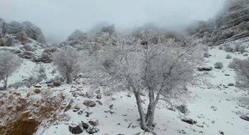 فعالیت سامانه بارشی همراه با تندباد از سه‌شنبه در البرز